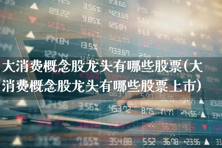 大消费概念股龙头有哪些股票(大消费概念股龙头有哪些股票上市)_https://www.heiljjianzu.com_深交所_第1张