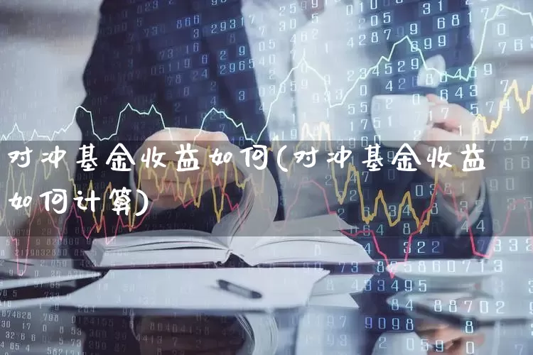 对冲基金收益如何(对冲基金收益如何计算)_https://www.heiljjianzu.com_上交所_第1张