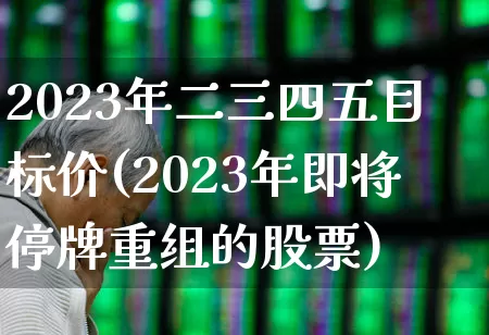 2023年二三四五目标价(2023年即将停牌重组的股票)_https://www.heiljjianzu.com_北交所_第1张