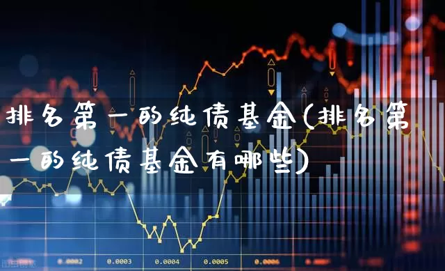 排名第一的纯债基金(排名第一的纯债基金有哪些)_https://www.heiljjianzu.com_深交所_第1张