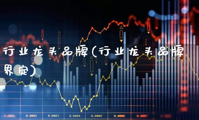 行业龙头品牌(行业龙头品牌界定)_https://www.heiljjianzu.com_深交所_第1张