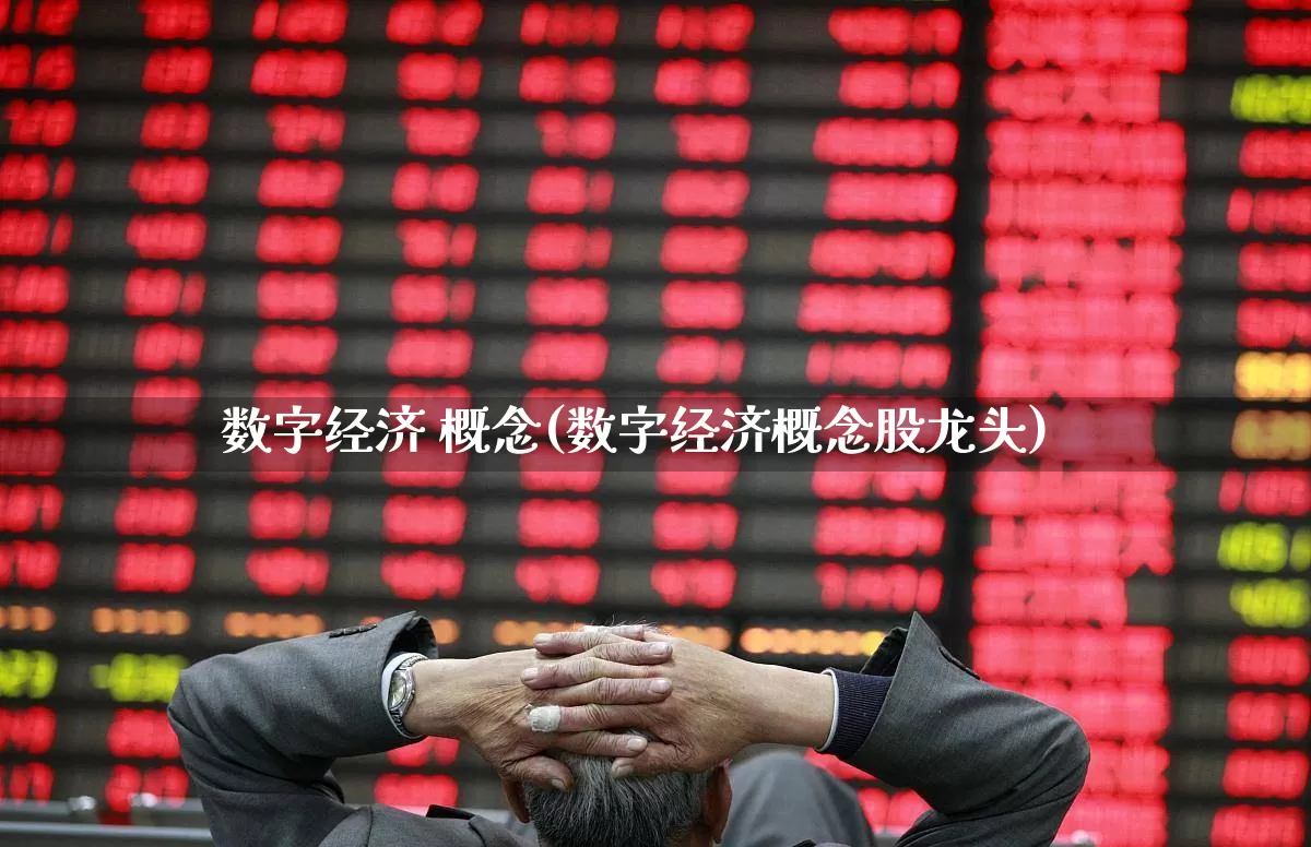 数字经济 概念(数字经济概念股龙头)_https://www.heiljjianzu.com_深交所_第1张