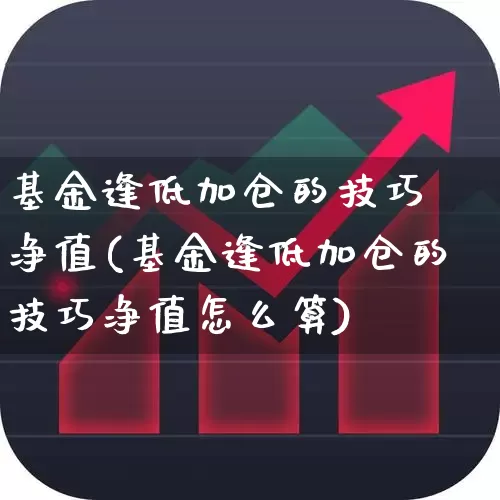 基金逢低加仓的技巧 净值(基金逢低加仓的技巧净值怎么算)_https://www.heiljjianzu.com_北交所_第1张