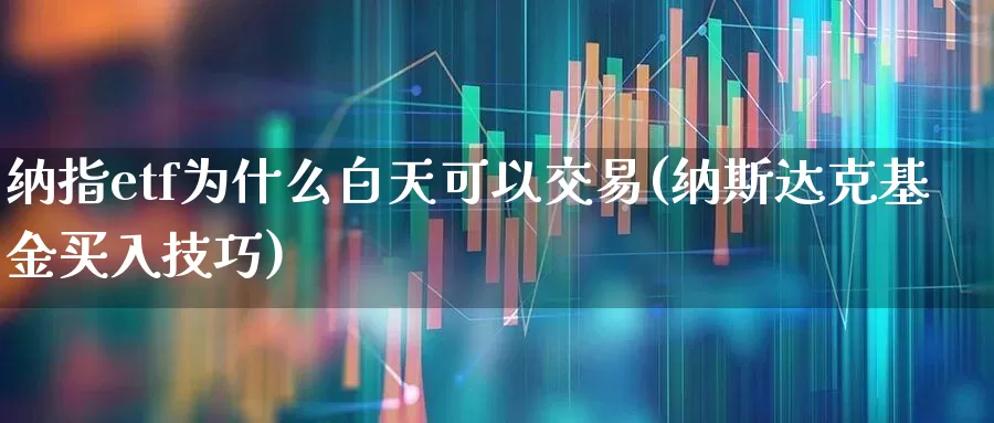 纳指etf为什么白天可以交易(纳斯达克基金买入技巧)_https://www.heiljjianzu.com_北交所_第1张