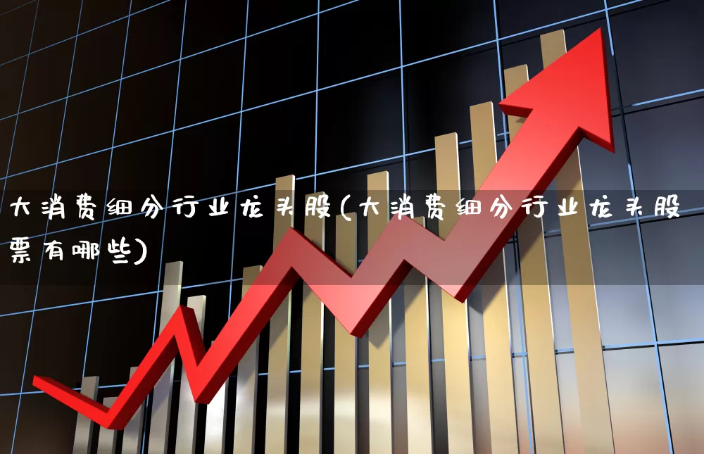 大消费细分行业龙头股(大消费细分行业龙头股票有哪些)_https://www.heiljjianzu.com_北交所_第1张