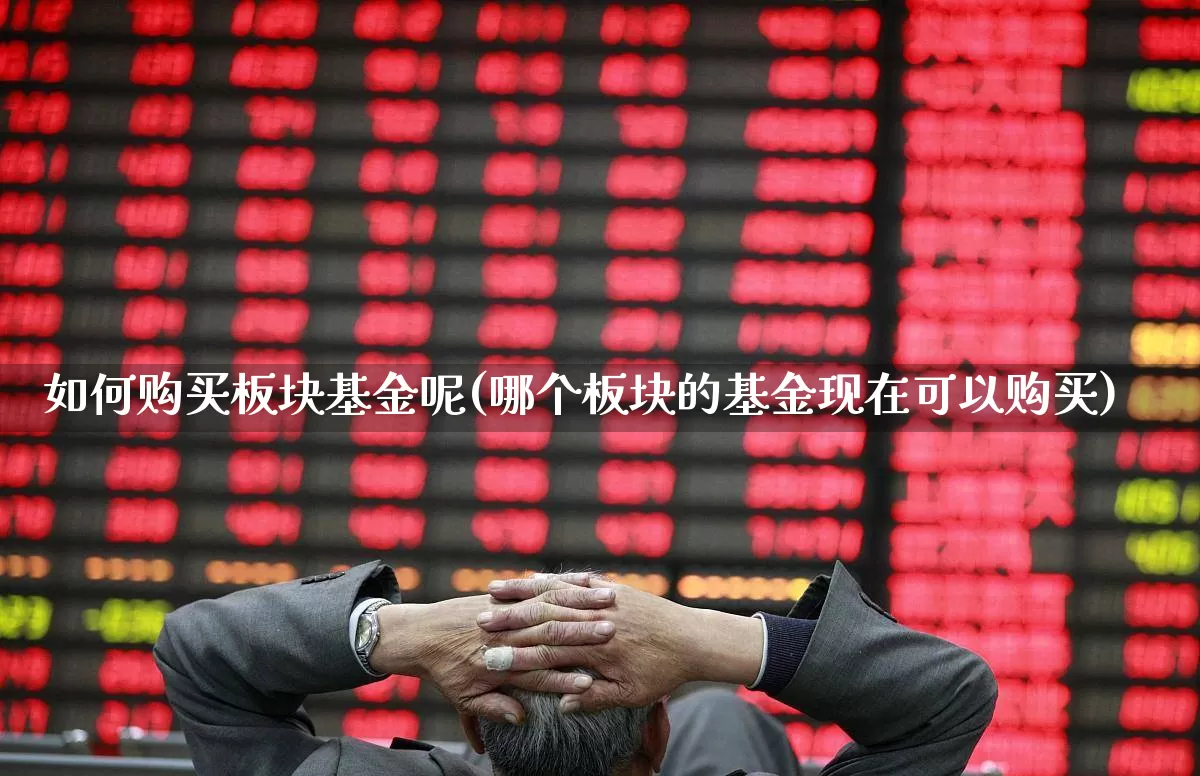 如何购买板块基金呢(哪个板块的基金现在可以购买)_https://www.heiljjianzu.com_北交所_第1张
