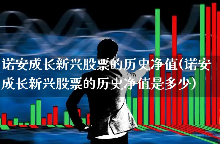 诺安成长新兴股票的历史净值(诺安成长新兴股票的历史净值是多少)_https://www.heiljjianzu.com_科创板_第1张