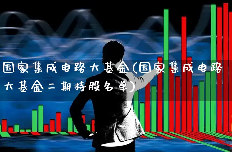国家集成电路大基金(国家集成电路大基金二期持股名单)_https://www.heiljjianzu.com_深交所_第1张