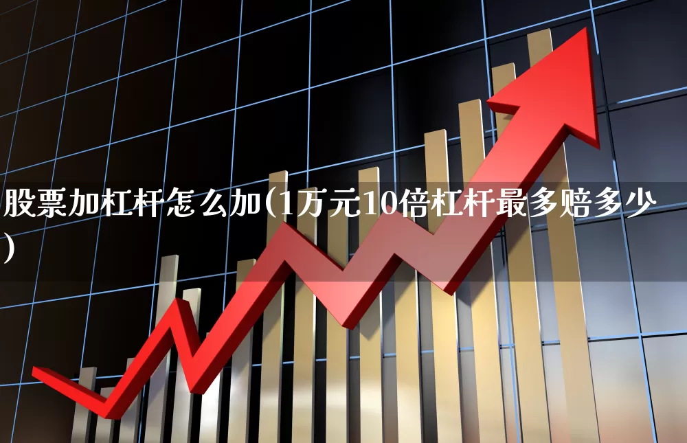 股票加杠杆怎么加(1万元10倍杠杆最多赔多少)_https://www.heiljjianzu.com_北交所_第1张