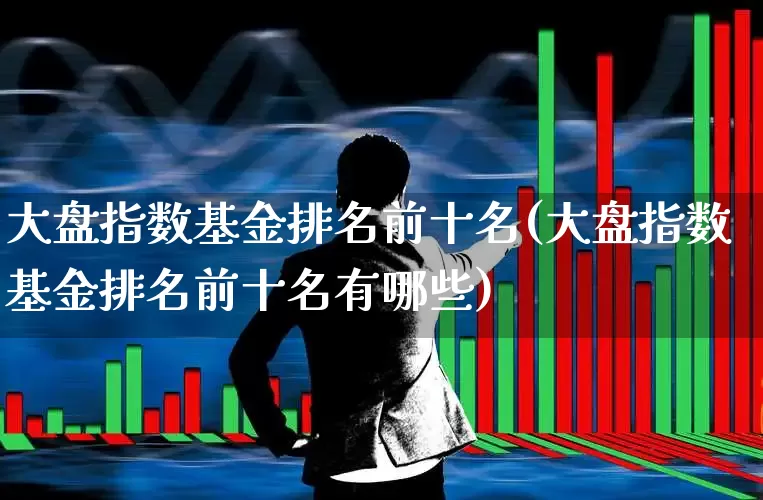 大盘指数基金排名前十名(大盘指数基金排名前十名有哪些)_https://www.heiljjianzu.com_上交所_第1张