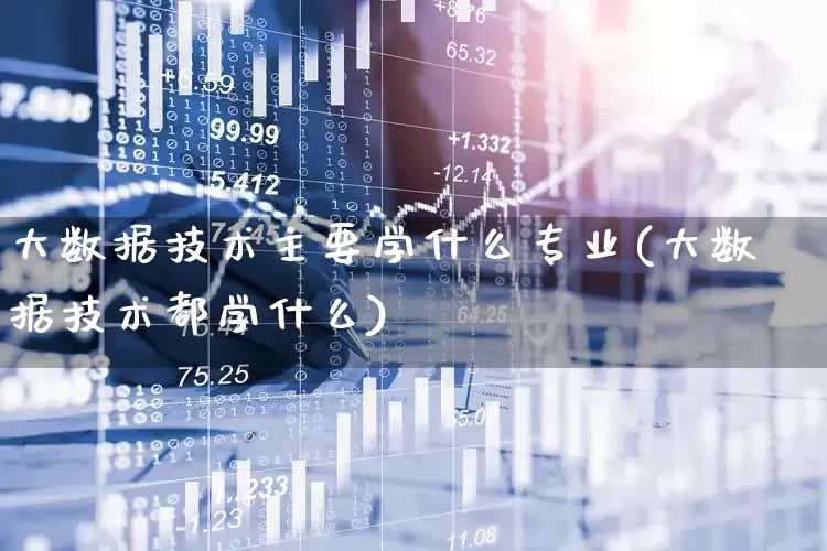 大数据技术主要学什么专业(大数据技术都学什么)_https://www.heiljjianzu.com_北交所_第1张