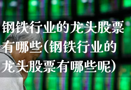 钢铁行业的龙头股票有哪些(钢铁行业的龙头股票有哪些呢)_https://www.heiljjianzu.com_深交所_第1张