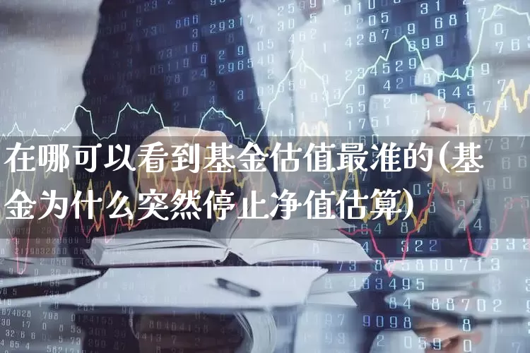 在哪可以看到基金估值最准的(基金为什么突然停止净值估算)_https://www.heiljjianzu.com_上交所_第1张