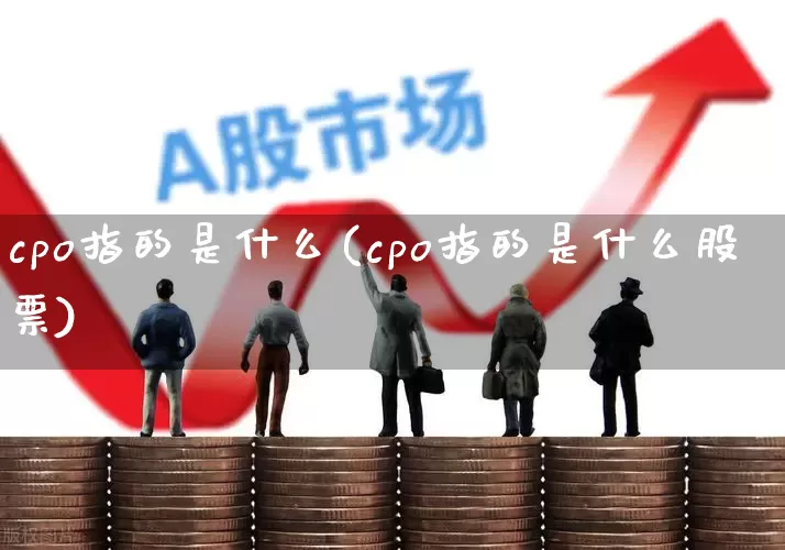 cpo指的是什么(cpo指的是什么股票)_https://www.heiljjianzu.com_上交所_第1张