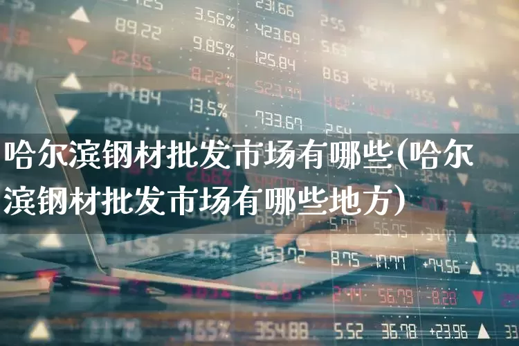 哈尔滨钢材批发市场有哪些(哈尔滨钢材批发市场有哪些地方)_https://www.heiljjianzu.com_深交所_第1张