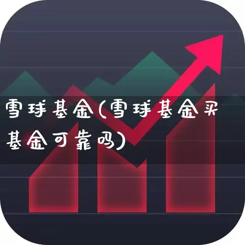 雪球基金(雪球基金买基金可靠吗)_https://www.heiljjianzu.com_深交所_第1张