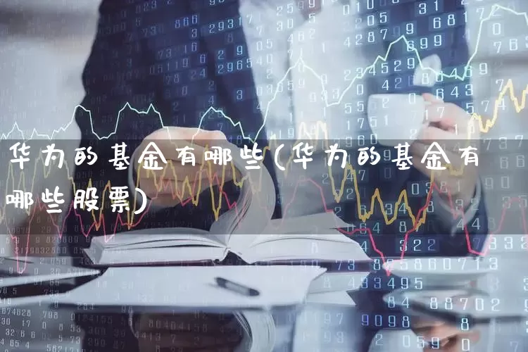 华为的基金有哪些(华为的基金有哪些股票)_https://www.heiljjianzu.com_创业板_第1张