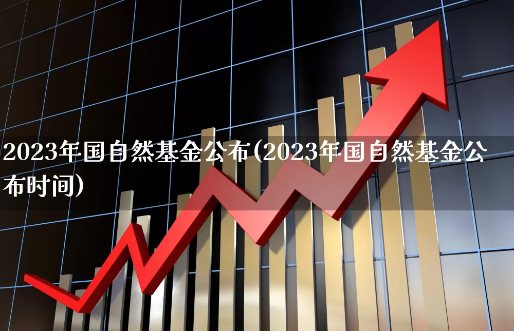 2023年国自然基金公布(2023年国自然基金公布时间)_https://www.heiljjianzu.com_科创板_第1张