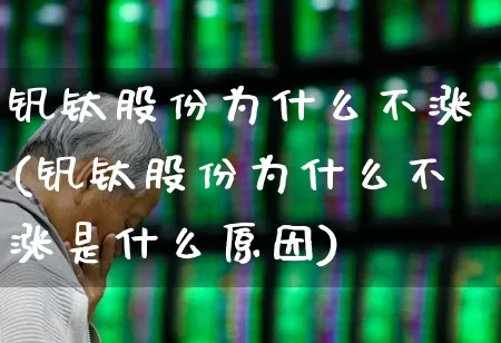 钒钛股份为什么不涨(钒钛股份为什么不涨是什么原因)_https://www.heiljjianzu.com_科创板_第1张