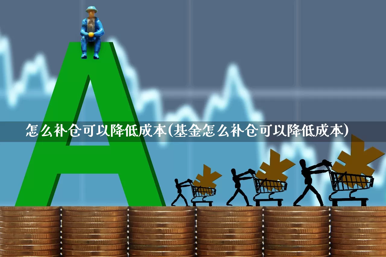 怎么补仓可以降低成本(基金怎么补仓可以降低成本)_https://www.heiljjianzu.com_深交所_第1张