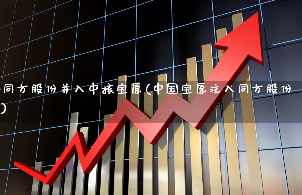 同方股份并入中核宝原(中国宝原注入同方股份)_https://www.heiljjianzu.com_创业板_第1张