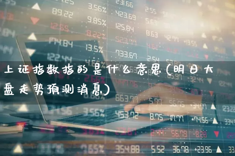 上证指数指的是什么意思(明日大盘走势预测消息)_https://www.heiljjianzu.com_科创板_第1张