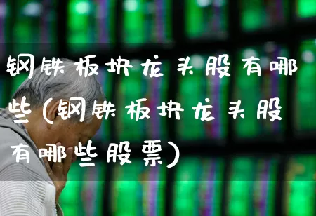 钢铁板块龙头股有哪些(钢铁板块龙头股有哪些股票)_https://www.heiljjianzu.com_深交所_第1张