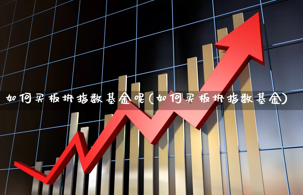 如何买板块指数基金呢(如何买板块指数基金)_https://www.heiljjianzu.com_上交所_第1张