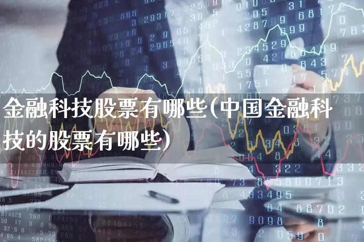金融科技股票有哪些(中国金融科技的股票有哪些)_https://www.heiljjianzu.com_上交所_第1张