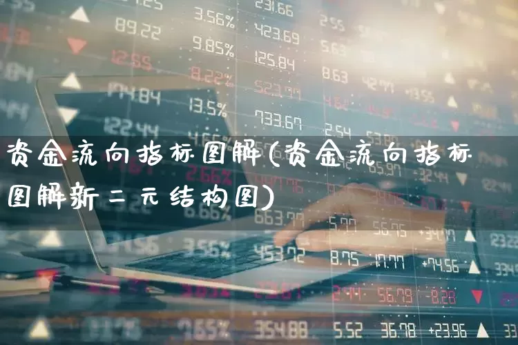 资金流向指标图解(资金流向指标图解新二元结构图)_https://www.heiljjianzu.com_深交所_第1张