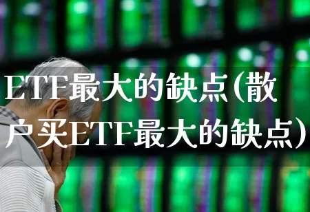 ETF最大的缺点(散户买ETF最大的缺点)_https://www.heiljjianzu.com_上交所_第1张