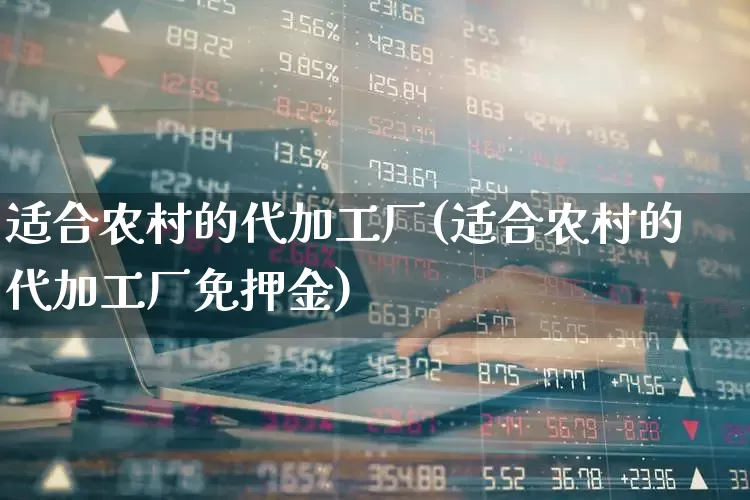 适合农村的代加工厂(适合农村的代加工厂免押金)_https://www.heiljjianzu.com_上交所_第1张