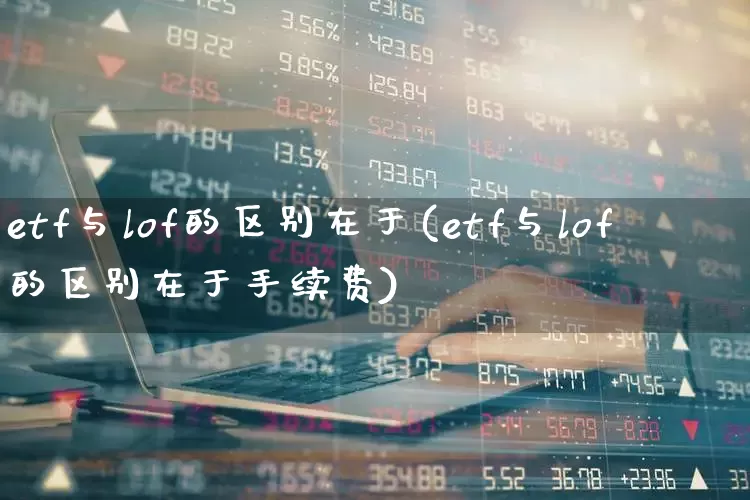 etf与lof的区别在于(etf与lof的区别在于手续费)_https://www.heiljjianzu.com_创业板_第1张