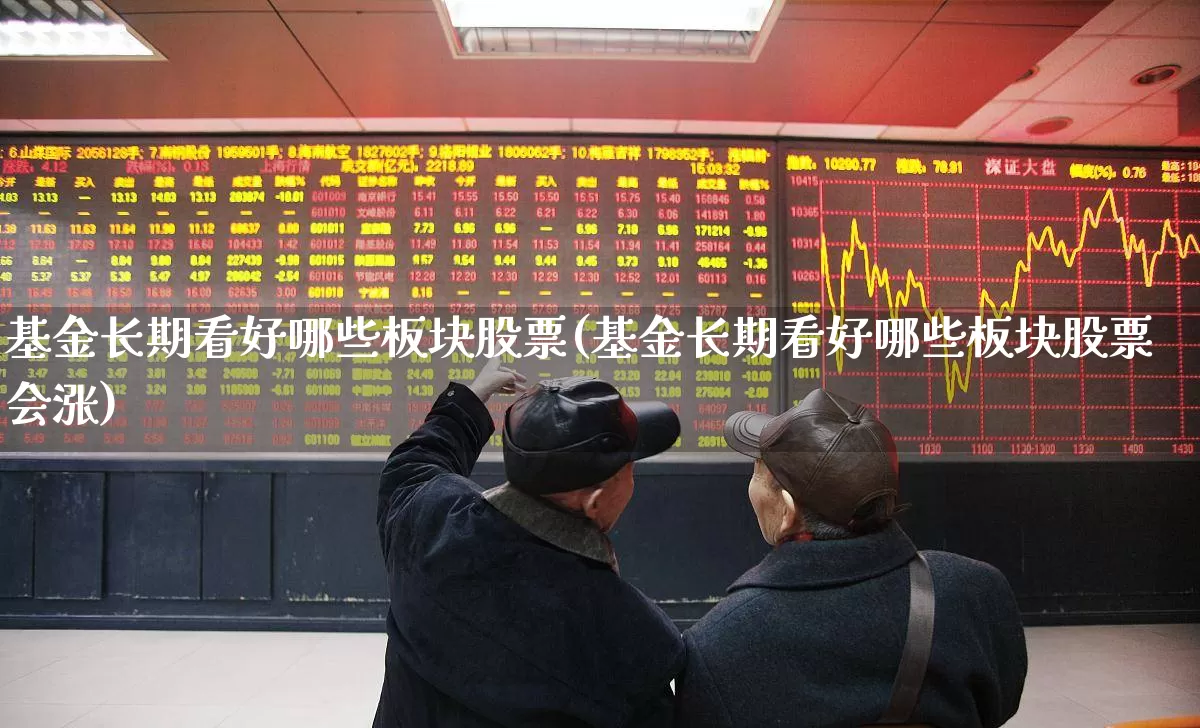 基金长期看好哪些板块股票(基金长期看好哪些板块股票会涨)_https://www.heiljjianzu.com_创业板_第1张