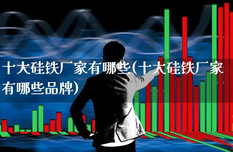 十大硅铁厂家有哪些(十大硅铁厂家有哪些品牌)_https://www.heiljjianzu.com_科创板_第1张