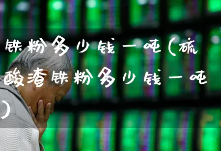 铁粉多少钱一吨(硫酸渣铁粉多少钱一吨)_https://www.heiljjianzu.com_深交所_第1张