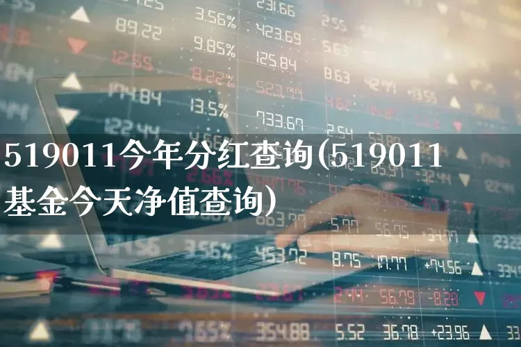 519011今年分红查询(519011基金今天净值查询)_https://www.heiljjianzu.com_深交所_第1张