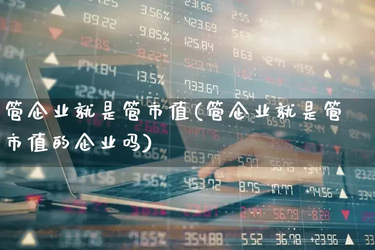 管企业就是管市值(管企业就是管市值的企业吗)_https://www.heiljjianzu.com_北交所_第1张