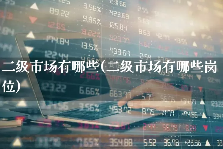 二级市场有哪些(二级市场有哪些岗位)_https://www.heiljjianzu.com_上交所_第1张