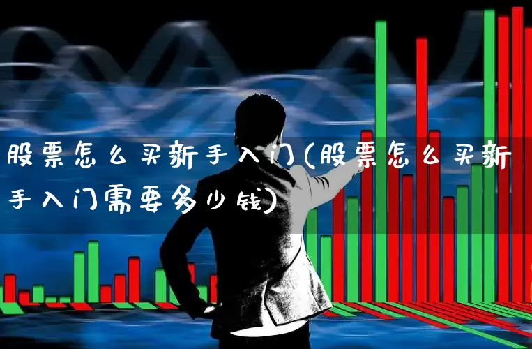 股票怎么买新手入门(股票怎么买新手入门需要多少钱)_https://www.heiljjianzu.com_深交所_第1张