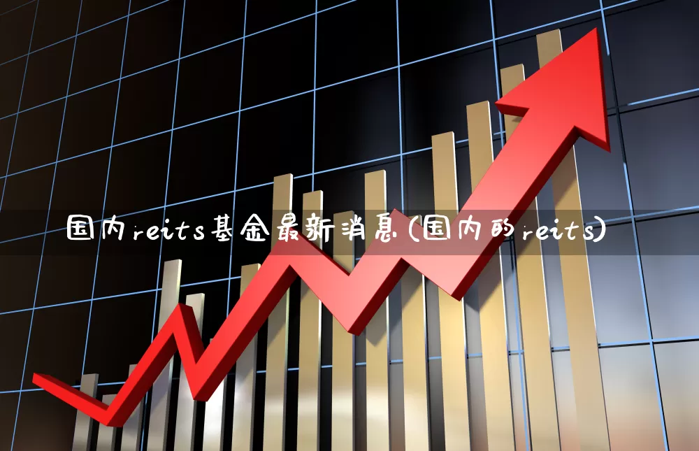 国内reits基金最新消息(国内的reits)_https://www.heiljjianzu.com_北交所_第1张