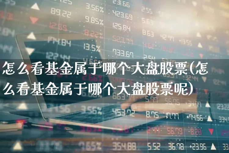 怎么看基金属于哪个大盘股票(怎么看基金属于哪个大盘股票呢)_https://www.heiljjianzu.com_科创板_第1张
