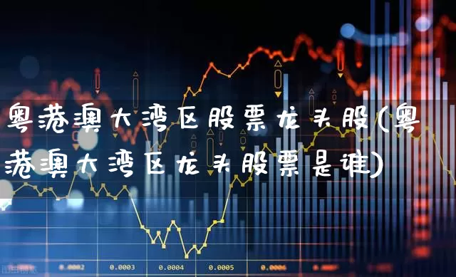 粤港澳大湾区股票龙头股(粤港澳大湾区龙头股票是谁)_https://www.heiljjianzu.com_创业板_第1张