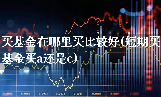 买基金在哪里买比较好(短期买基金买a还是c)_https://www.heiljjianzu.com_科创板_第1张