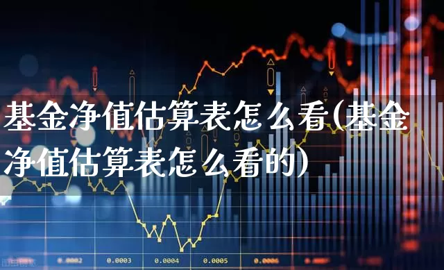 基金净值估算表怎么看(基金净值估算表怎么看的)_https://www.heiljjianzu.com_创业板_第1张