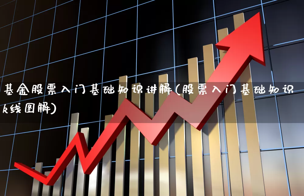基金股票入门基础知识讲解(股票入门基础知识k线图解)_https://www.heiljjianzu.com_上交所_第1张