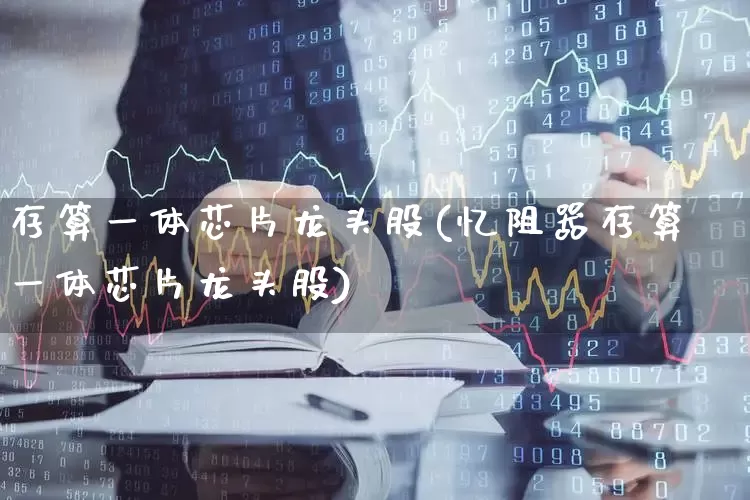 存算一体芯片龙头股(忆阻器存算一体芯片龙头股)_https://www.heiljjianzu.com_科创板_第1张