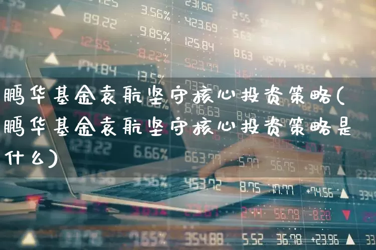 鹏华基金袁航坚守核心投资策略(鹏华基金袁航坚守核心投资策略是什么)_https://www.heiljjianzu.com_创业板_第1张