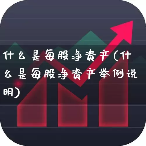什么是每股净资产(什么是每股净资产举例说明)_https://www.heiljjianzu.com_创业板_第1张
