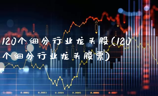 120个细分行业龙头股(120个细分行业龙头股票)_https://www.heiljjianzu.com_北交所_第1张